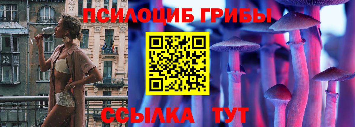 Псилоцибиновые грибы Cubensis Барабинск